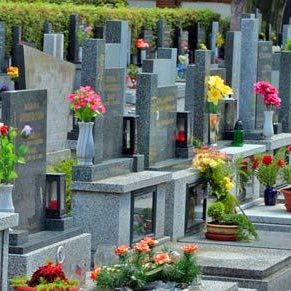 cimetiere tombe fleur